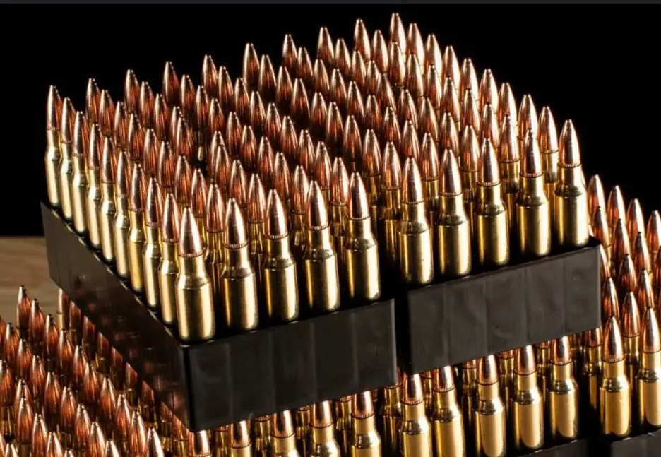 Bullets (.22)