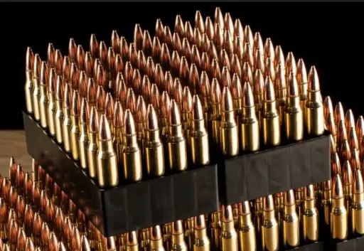 Bullets (.22)